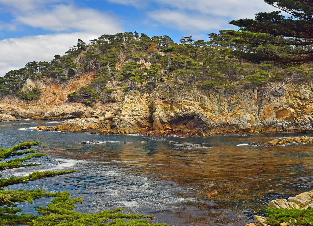 Point Lobos State park, California