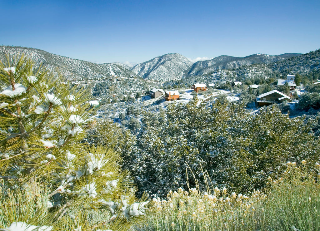 Snowy landscape after winter storm in Pine Mountain Club, Kern County, Southern California