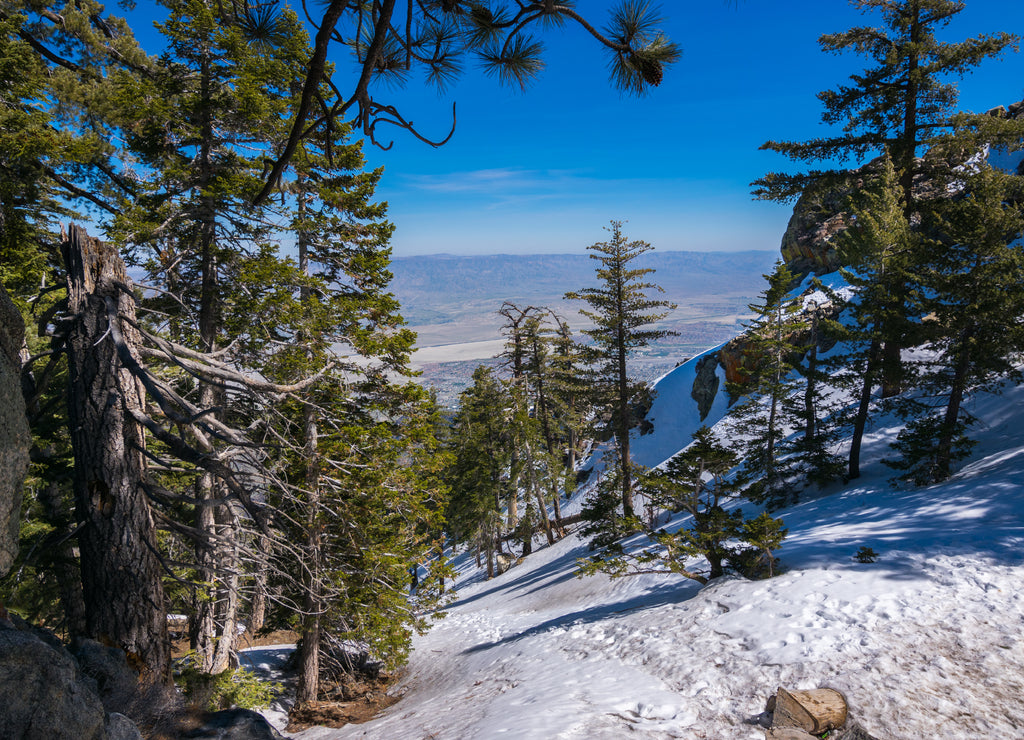 View of Palm Springs from San Jacinto Mountain, Riverside County, California, USA