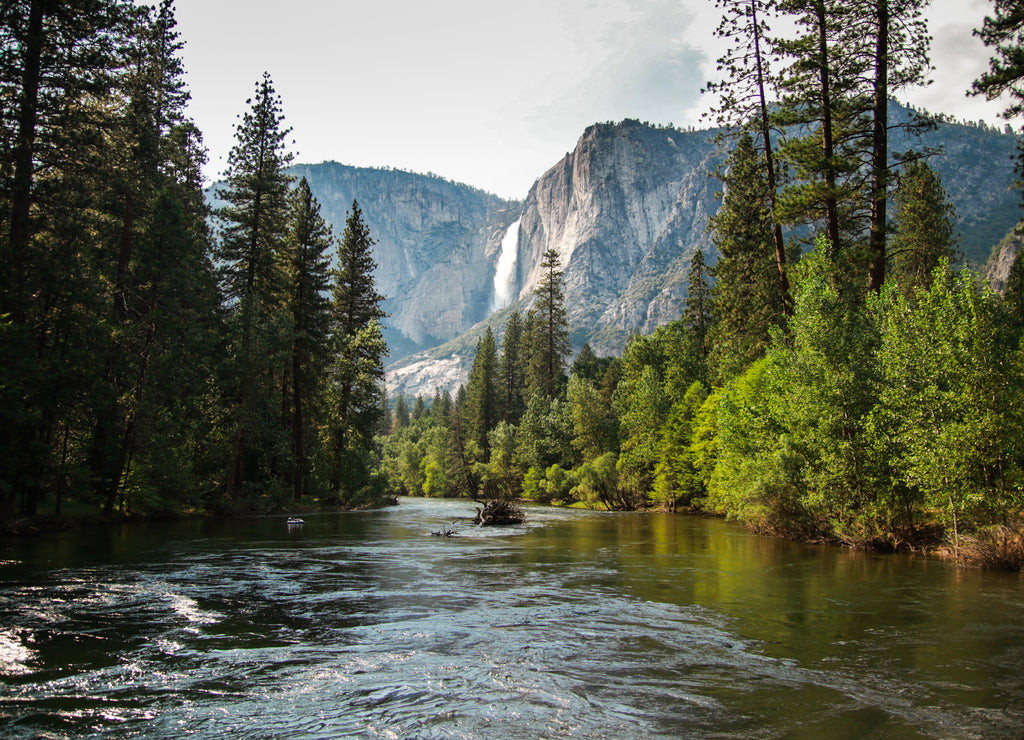 View of Yosemite Falls from the bridge above Merced River in Yosemite Valley National Park, California