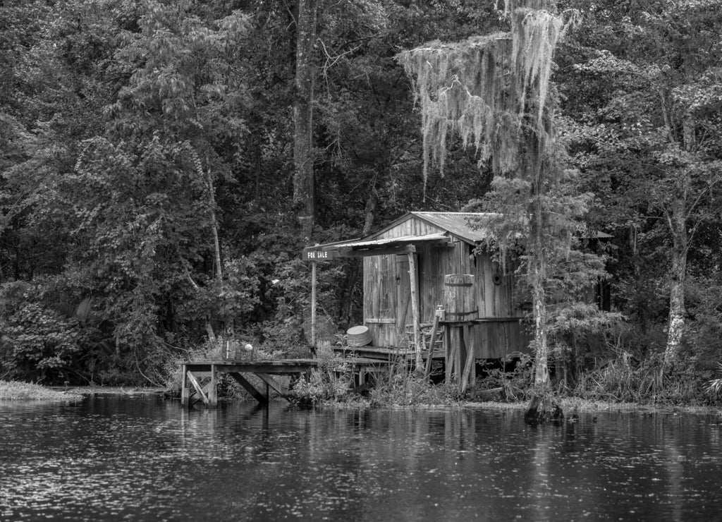 Old house in a swamp in New Orleans, Louisiana in black white