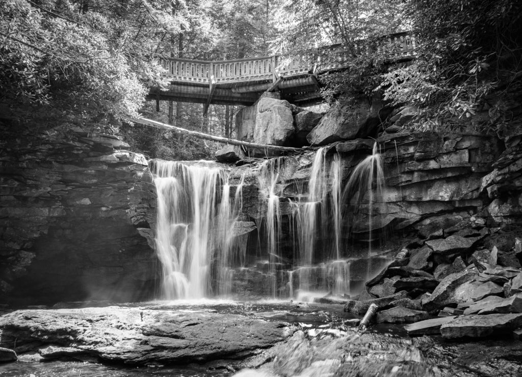View of Elakala Falls, located in Blackwater Falls State Park, West Virginia in black white