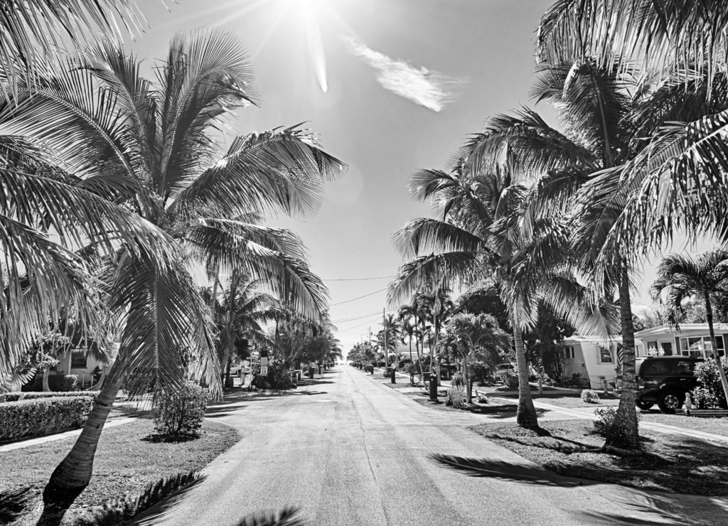 way to the beach with palm trees in key west florida in black white