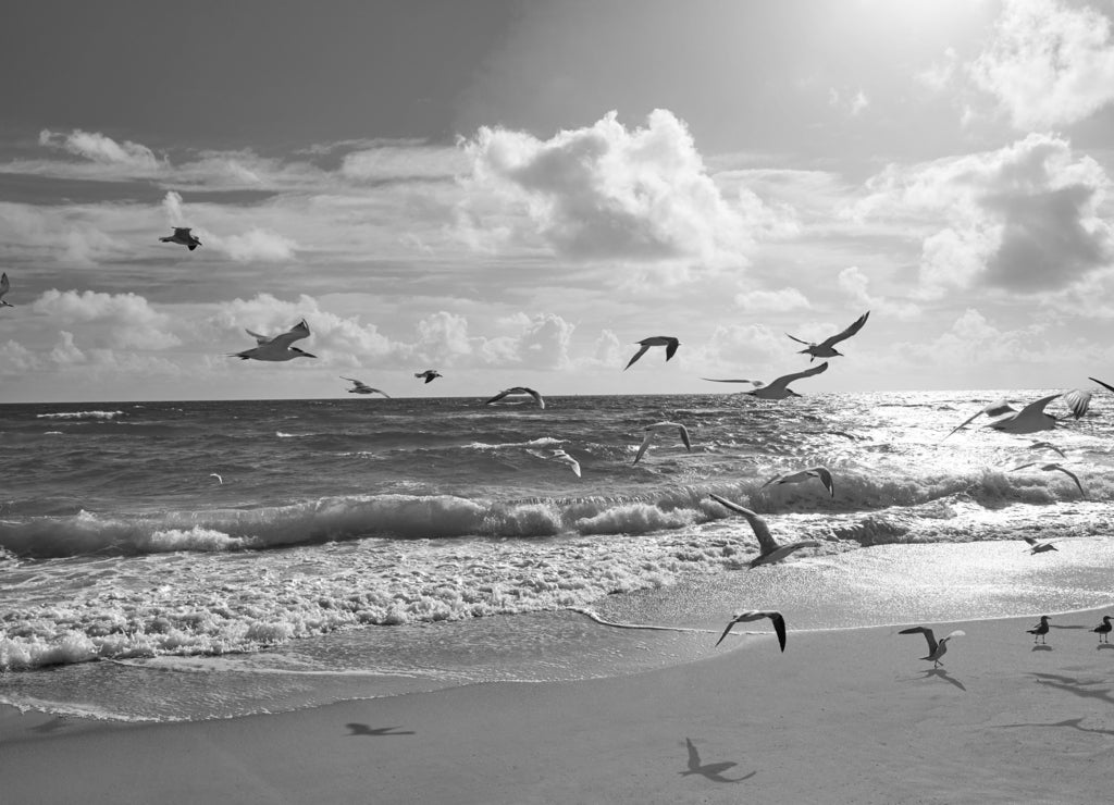 Singer Island beach at Palm Beach Florida US in black white