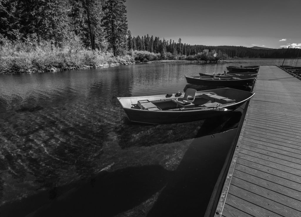 Clear Lake Oregon in black white
