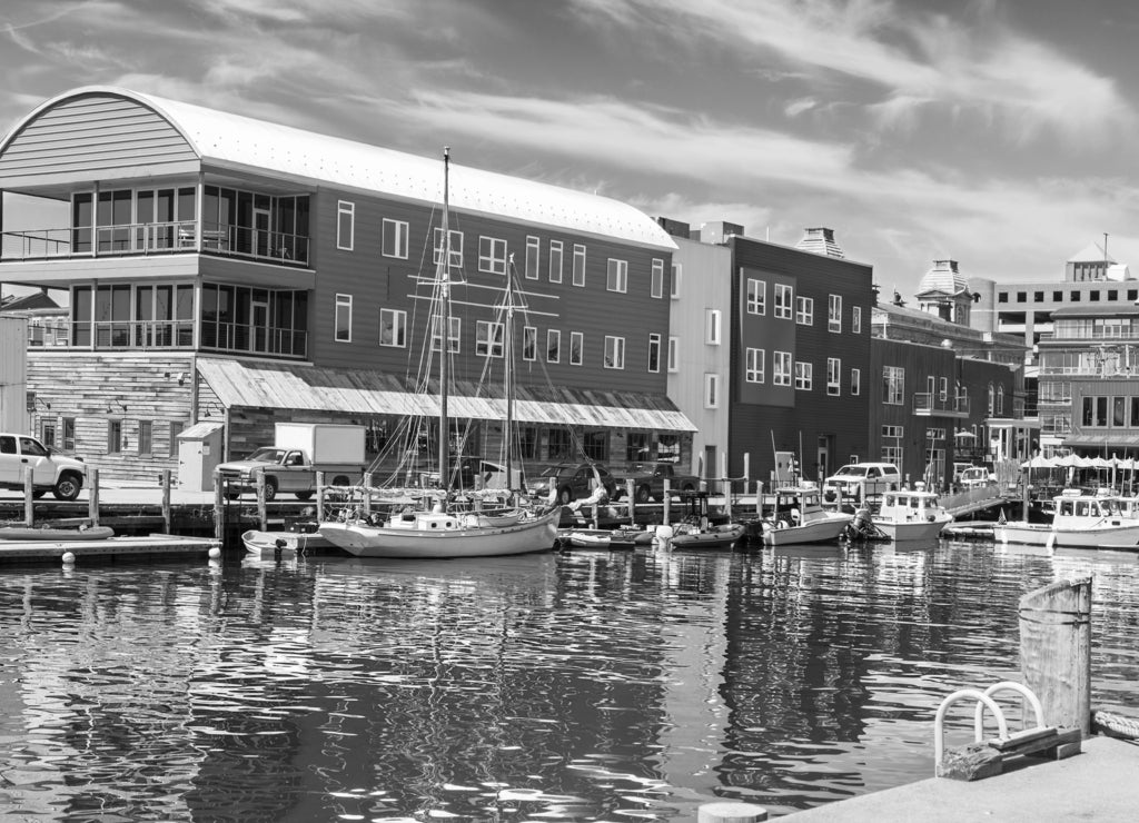 Water taxis and boats on the busy Maine Wharf, Portland, Maine in black white