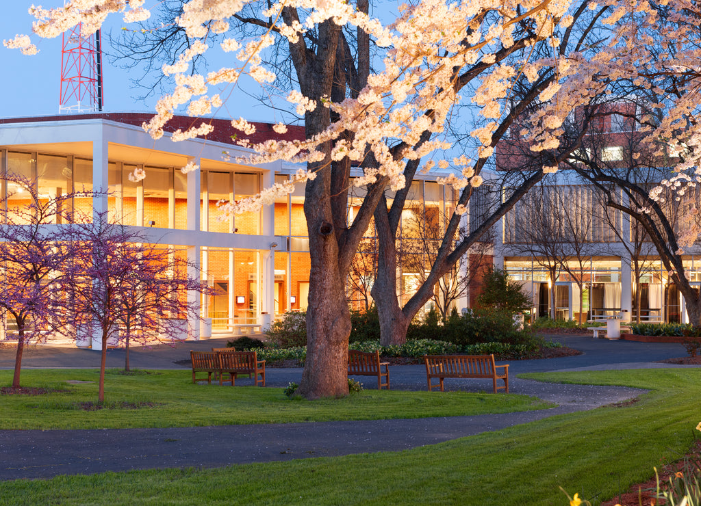 Campus Spring Time Landscape, University of Georgia