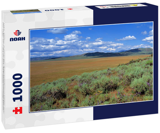 USA, Idaho, Camas Co. Sagebrush and lupine line the edge of a dry prairie in Camas County, Idaho