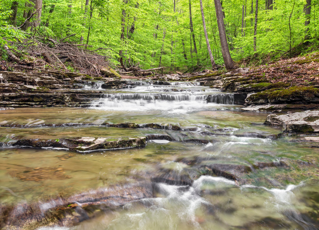 Woodland Brook - Fall Creek Waterfall - Putnam County, Indiana