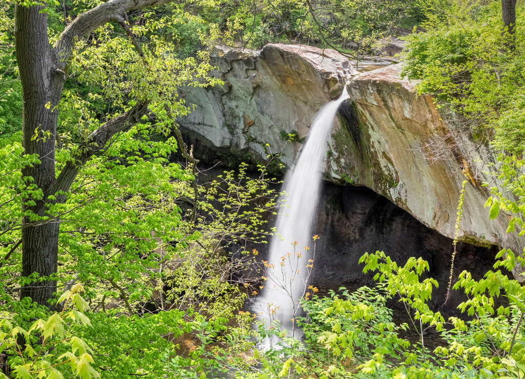 Williamsport Falls, a waterfall in warren County, Indiana, plunges over a sandstone cliff as viewed through trees in spring