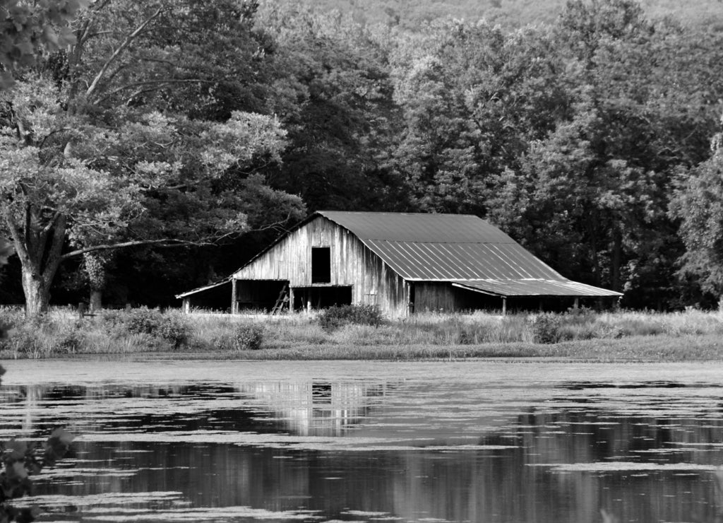 Arkansas Ozark's Rustic Barn in black white