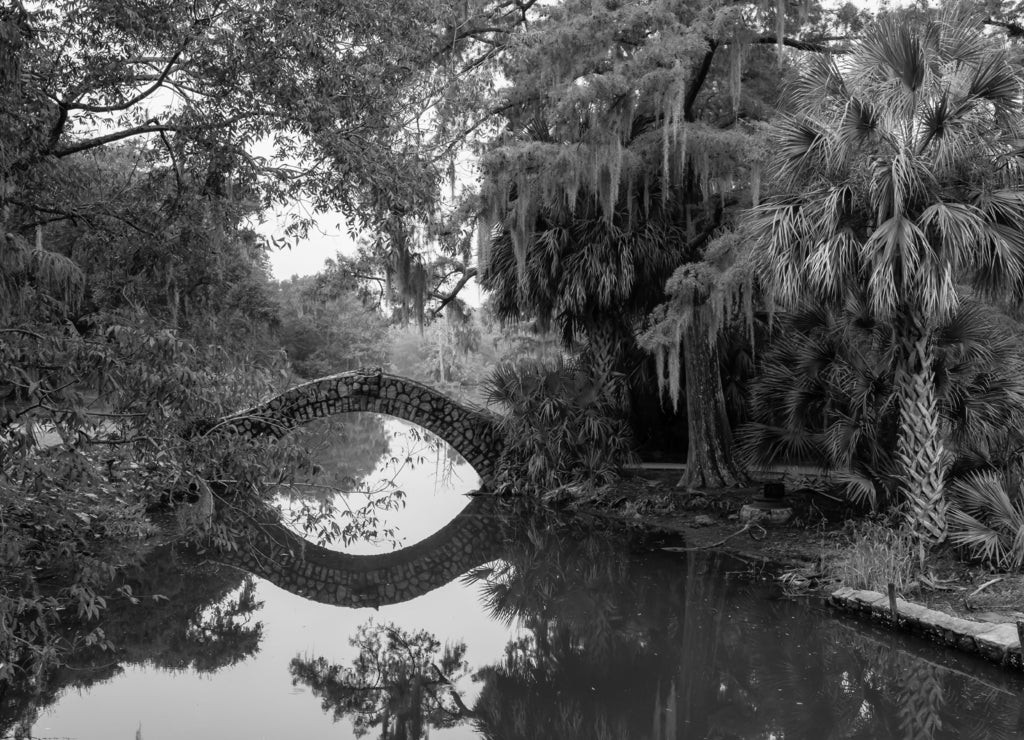 Bridge over a river duing a foggy morning. Taken in City Park, New Orleans, Louisiana, United States in black white