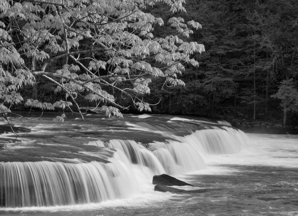 Beautiful Valley Falls with trees in the spring at Valley Falls State Park in West Virginia in black white