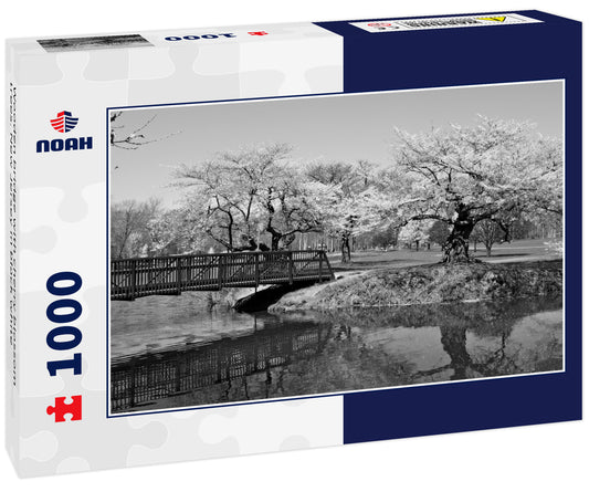 Wooden bridge with cherry blossom trees. New Jersey in black white