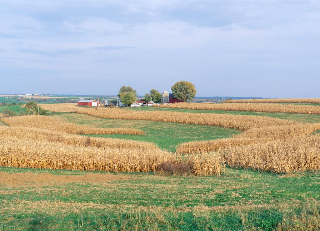 Rolling Farm Fields, North of Dubuque, Iowa USA