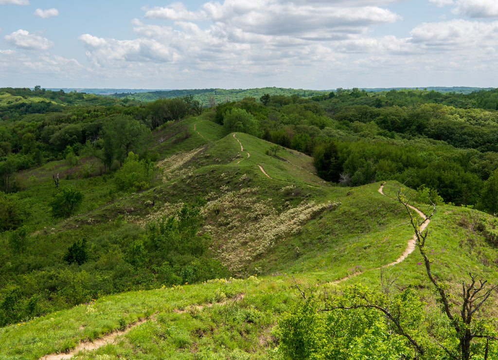 Scenic Overlook near Preparation Canyon State Park along the Loess Hills National Scenic Byway, Iowa