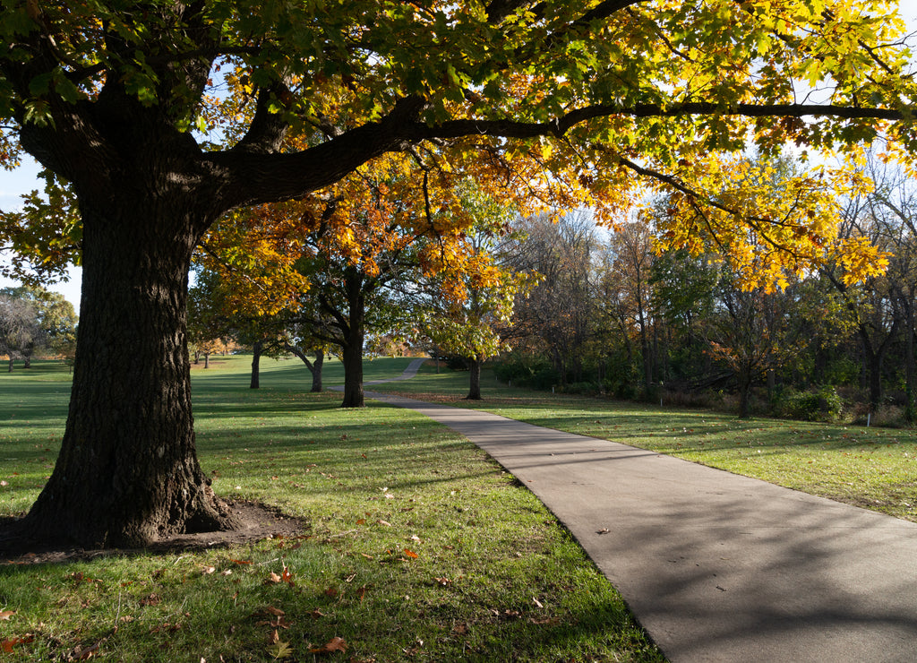 Iowa Jasper Park Golf Court Autumn Scene