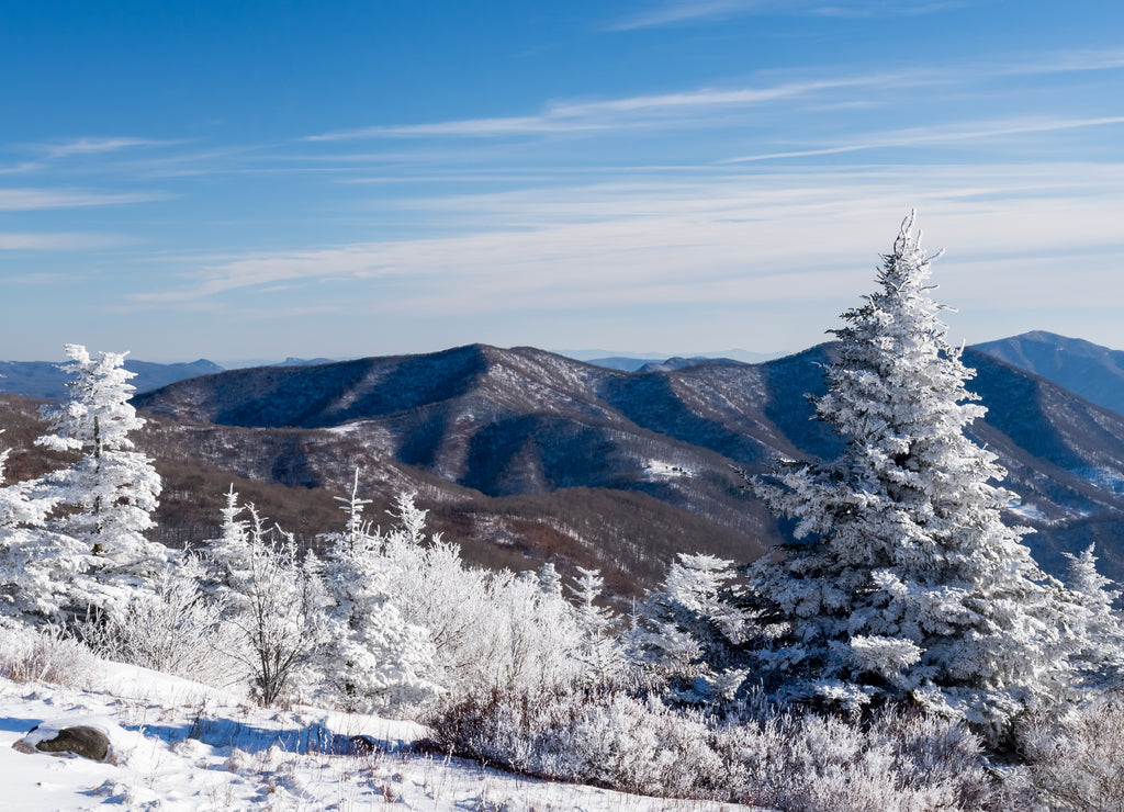 A winter wonderland in the Roan Highlands along the Appalachian Trail on the Border of Tennessee and North Carolina