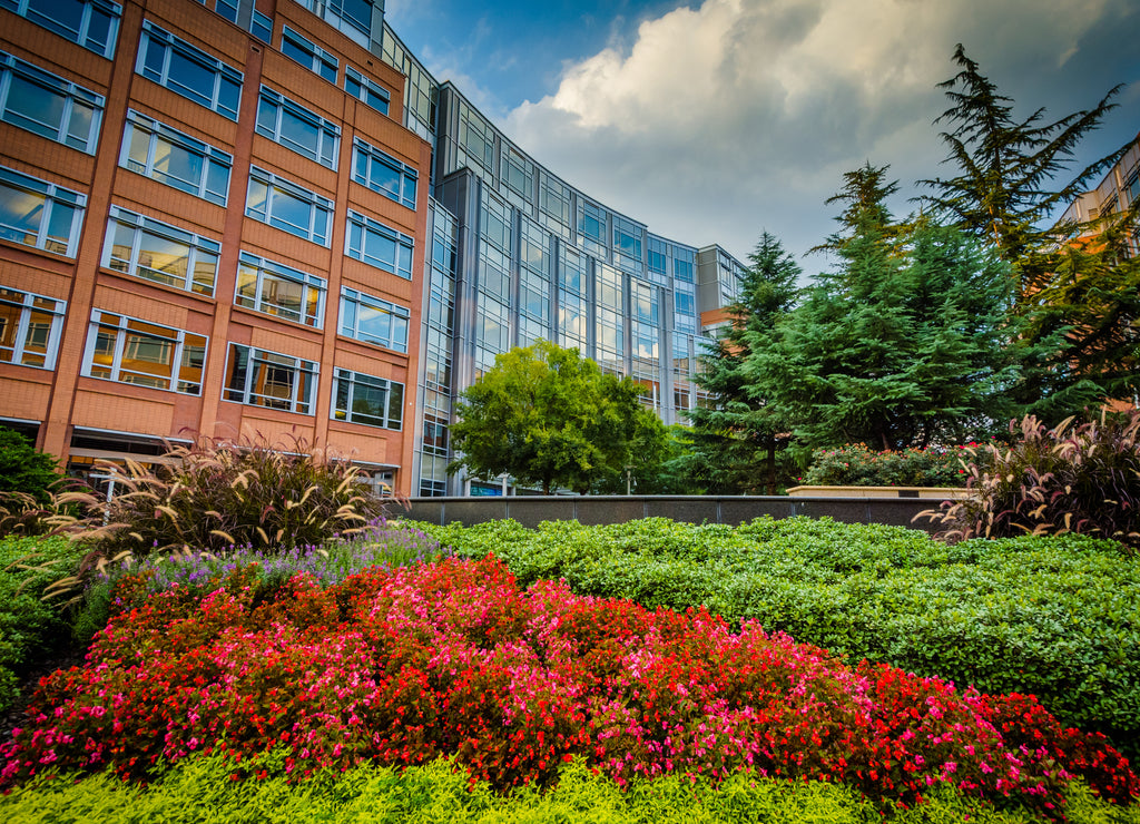 Gardens and buildings at Johnson & Wales University, in Charlotte North Carolina