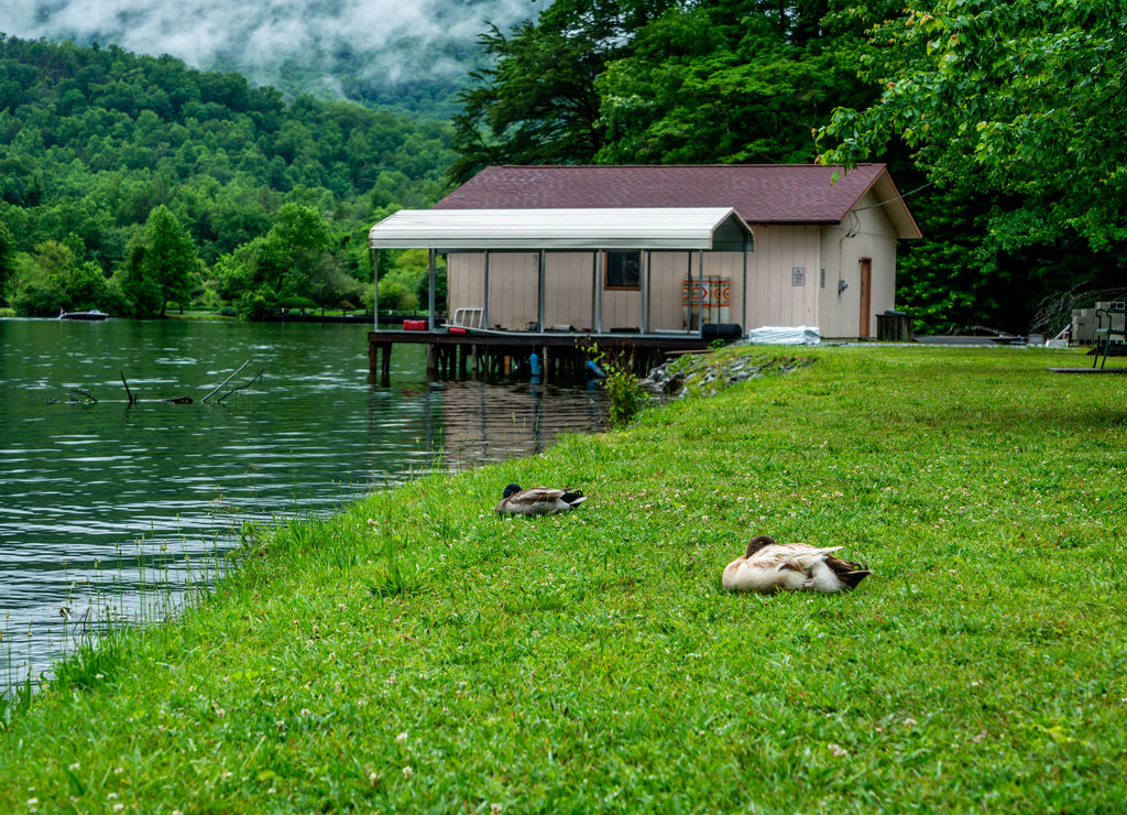Lake Lure in North Carolina is an amazing place to spend some quality family time